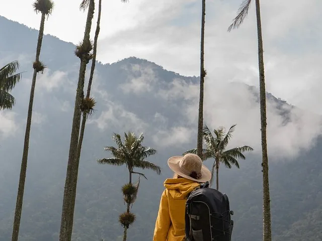 Hiker with backpack looking at tall wax palms and misty mountains