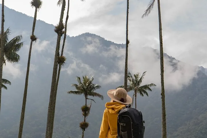 Reisender mit Hut und Rucksack, der Wachspalmen und neblige Berge betrachtet