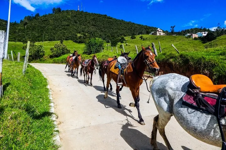 Foto del tour